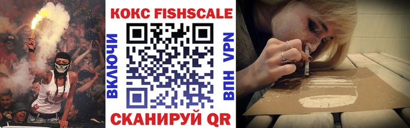 Cocaine FishScale Купить закладки Нахабино