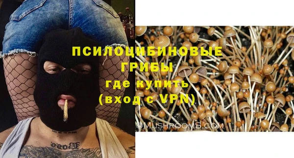 круглые Ельня