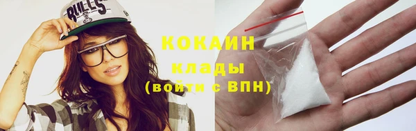 mdpv Елизово
