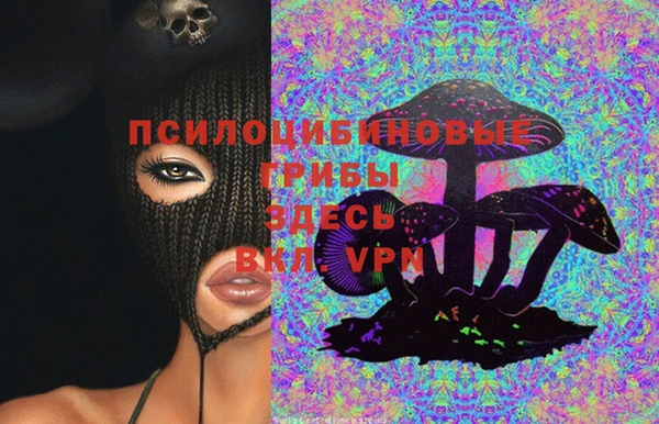 круглые Ельня