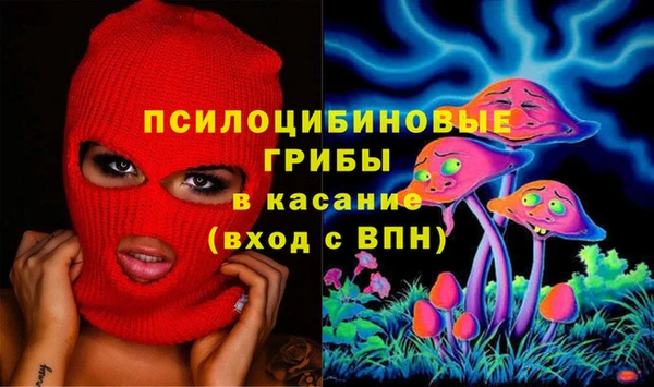 mdpv Елизово