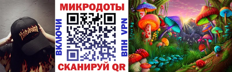 Купить закладки  Нахабино  Псилоцибиновые грибы Psilocybe 